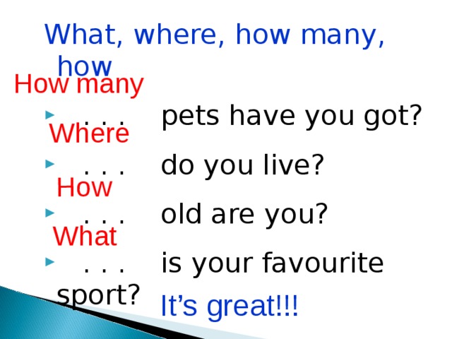 How What, where, how many, how  . . . pets have you got?  . . . do you live?  . . . old are you?  . . . is your favourite sport? How many Where What It’s great!!! 