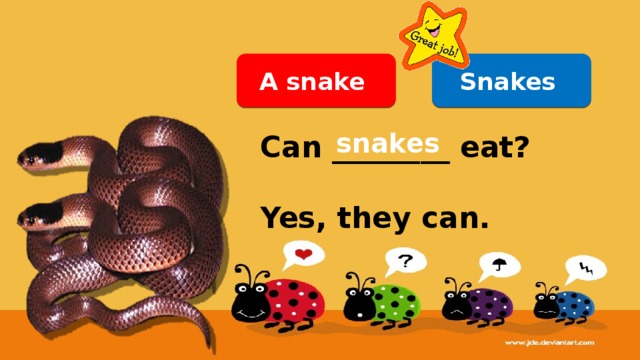 Snakes A snake snakes Can ________ eat?  Yes, they can. 