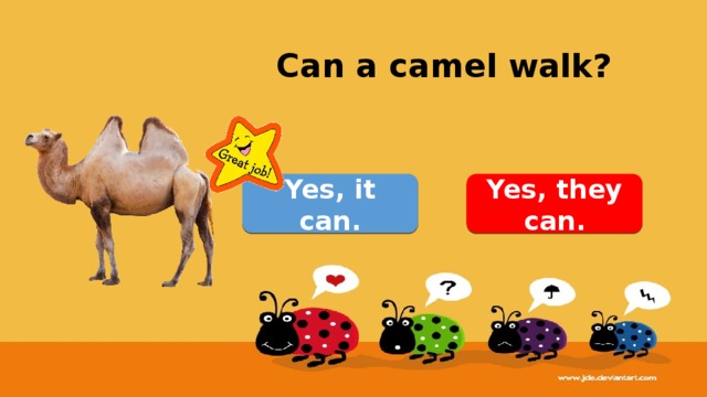 Can a camel walk? Yes, it can. Yes, they can. 