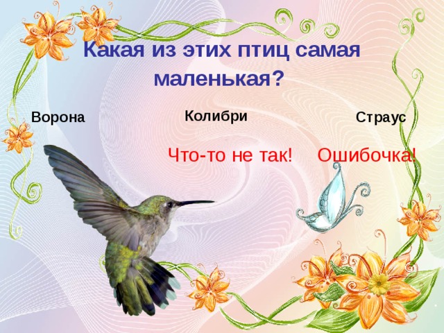 Какая из этих птиц самая маленькая?  Колибри Ворона Страус Что-то не так!  Ошибочка! 