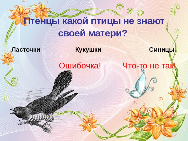 Птенцы какой птицы не знают своей матери?  Ласточки Кукушки Синицы Ошибочка! Что-то не так! 