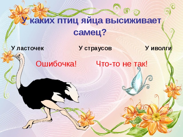 У каких птиц яйца высиживает самец?  У ласточек У страусов  У иволги Ошибочка! Что-то не так! 