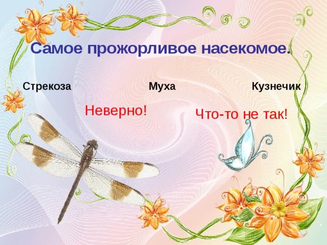 Самое прожорливое насекомое.  Стрекоза Муха Кузнечик Неверно! Что-то не так! 