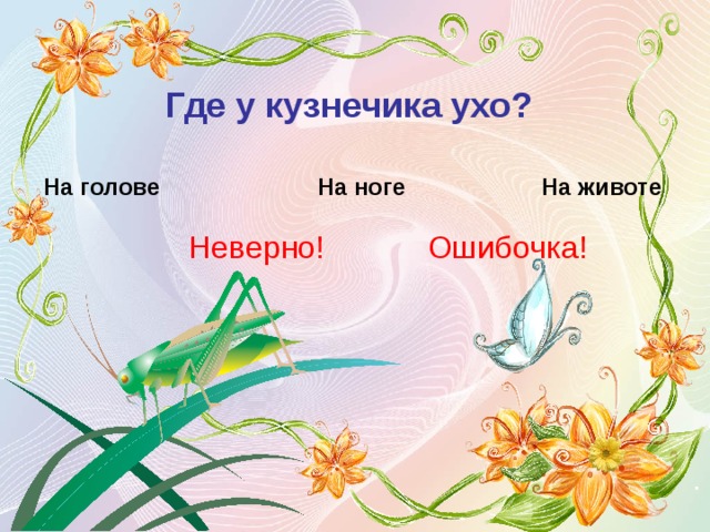 Где у кузнечика ухо?  На голове На ноге На животе Неверно! Ошибочка! 