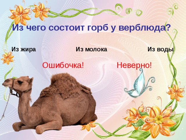 Из чего состоит горб у верблюда?  Из жира Из воды Из молока Ошибочка! Неверно! 