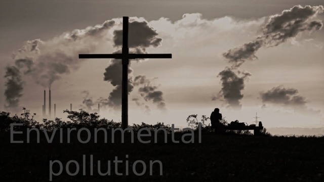 Environmental pollution 