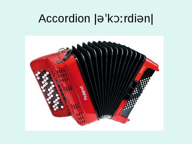 Accordion |əˈkɔːrdiən| 