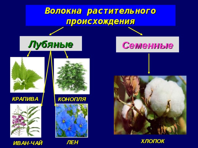 Волокна растительного происхождения Лубяные Семенные КОНОПЛЯ КРАПИВА ЛЕН ХЛОПОК  ИВАН-ЧАЙ 