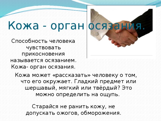 Осязание это способность воспринимать. Кожа как орган осязания. Какие прикосновения мы ощущаем 2 класс.