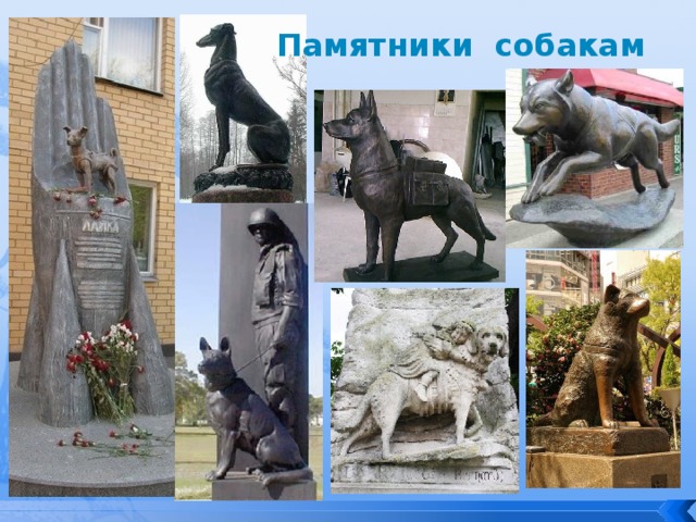 Памятники собакам  