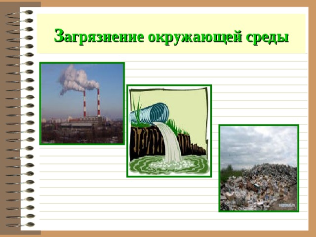 З агрязнение окружающей среды 