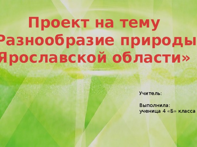Проект на тему «Разнообразие природы Ярославской области» Учитель: Выполнила: ученица 4 «Б» класса 