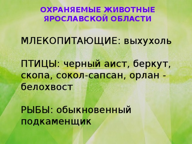 ОХРАНЯЕМЫЕ ЖИВОТНЫЕ ЯРОСЛАВСКОЙ ОБЛАСТИ МЛЕКОПИТАЮЩИЕ: выхухоль ПТИЦЫ: черный аист, беркут, скопа, сокол-сапсан, орлан - белохвост   РЫБЫ: обыкновенный подкаменщик 