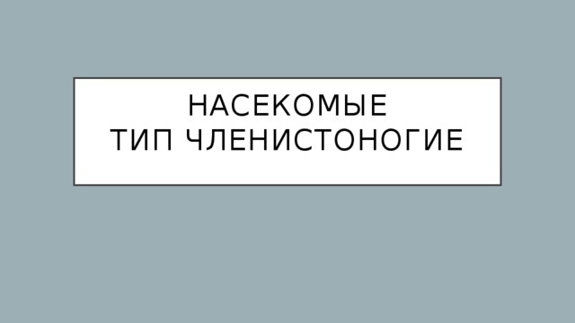 Насекомые  Тип членистоногие   