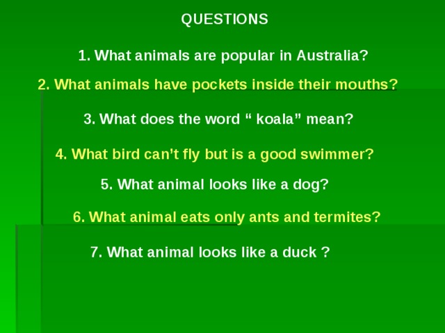 QUESTIONS  1. What animals are popular in Australia?   2 . What animals have pockets inside their mouths? 3. What does the word “ koala”  mean? 4. What bird can’t fly but is a good swimmer? 5. What animal looks like a dog? 6. What animal eats only ants and termites?  7. What animal looks like a duck ?  