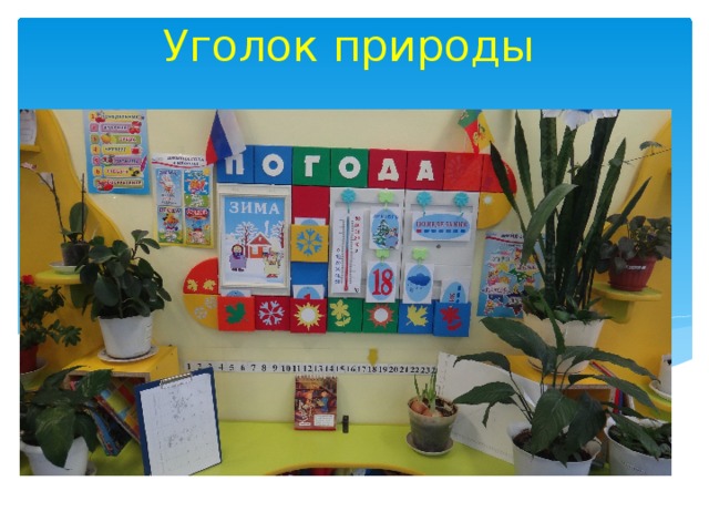 Уголок природы 