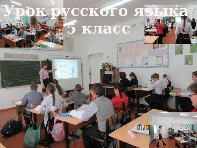 Урок русского языка 5 класс 