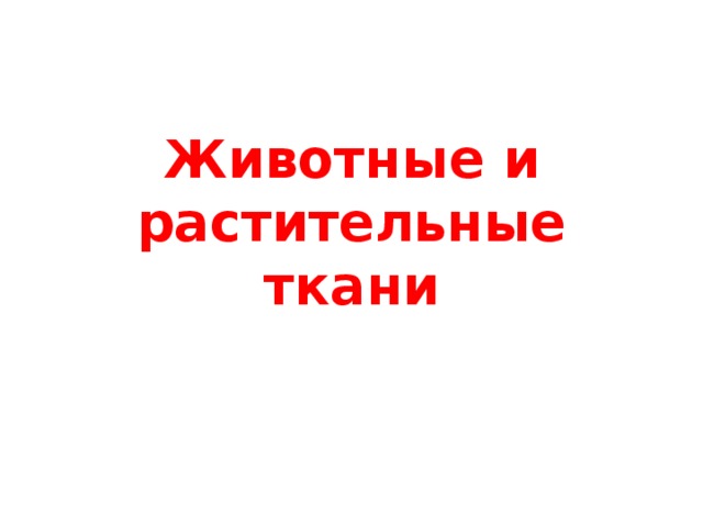 Животные и растительные ткани 