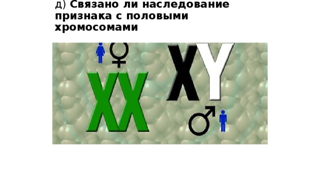 д) Связано ли наследование признака с половыми хромосомами 