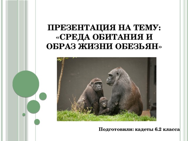 Презентация на тему: «Среда обитания и образ жизни обезьян» Подготовили: кадеты 6.2 класса 