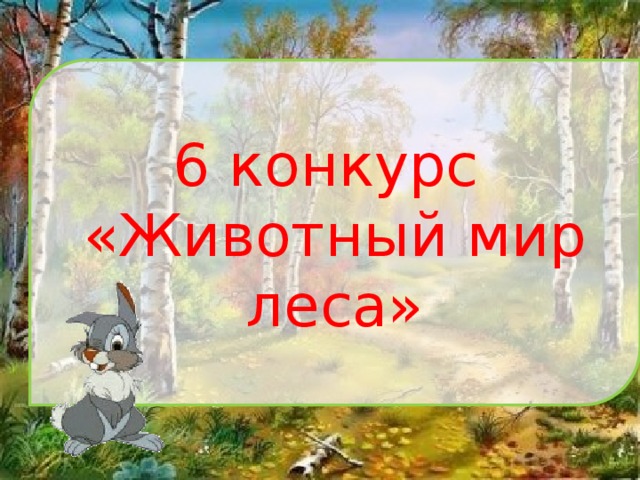 6 конкурс «Животный мир леса» 
