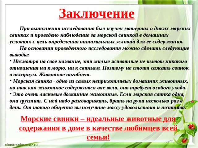 Заключение    При выполнении исследования был изучен материал о диких морских свинках и проведено наблюдение за морской свинкой в домашних условиях с цель определения оптимальных условий для её содержания.   На основании проведенного исследования можно сделать следующие выводы:  Несмотря на свое название, эти милые животные не имеют никакого отношения ни к морю, ни к свиньям. Поэтому не стоит сажать свинок в аквариум. Животное погибнет.  Морская свинка - одно из самых неприхотливых домашних животных, но так как животное содержится вне воли, оно требует особого ухода.  Это очень ласковые домашние животные. Если морская свинка одна, она грустит. С ней надо разговаривать, брать на руки несколько раз в день. От такого общения вы получите массу удовольствия и позитива. Морские свинки – идеальные животные для содержания в доме в качестве любимцев всей семьи!   