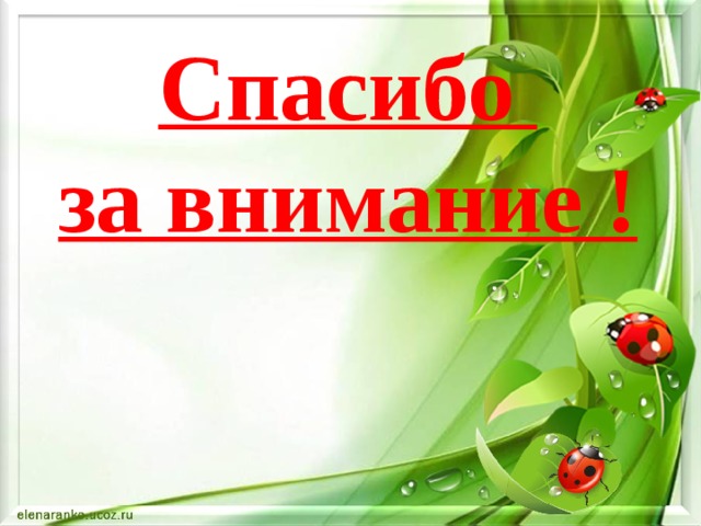Спасибо  за внимание ! 