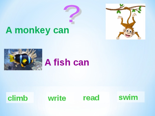 A monkey can A fish can swim read climb write 