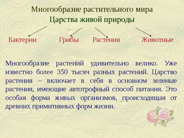 Основы систематики растений презентация