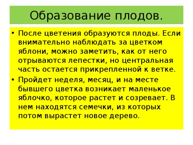 Образование плодов. После цветения образуются плоды. Если внимательно наблюдать за цветком яблони, можно заметить, как от него отрываются лепестки, но центральная часть остается прикрепленной к ветке. Пройдет неделя, месяц, и на месте бывшего цветка возникает маленькое яблочко, которое растет и созревает. В нем находятся семечки, из которых потом вырастет новое дерево. 