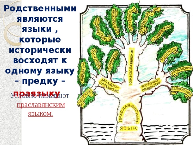 Современная география славянских народов и языков презентация