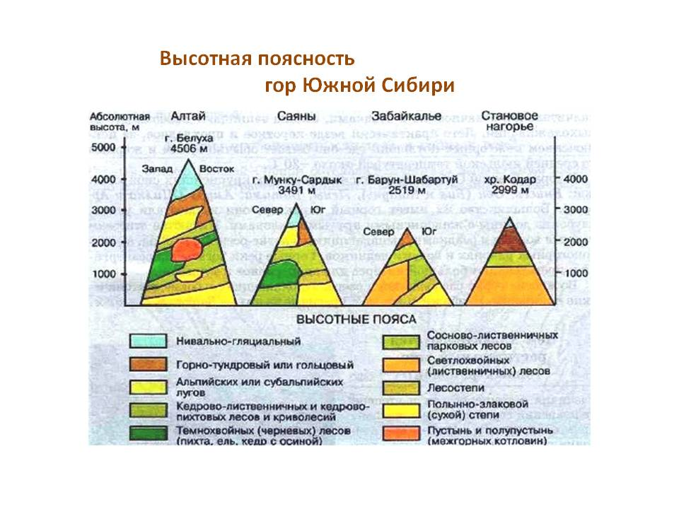 Схема природных зон урала