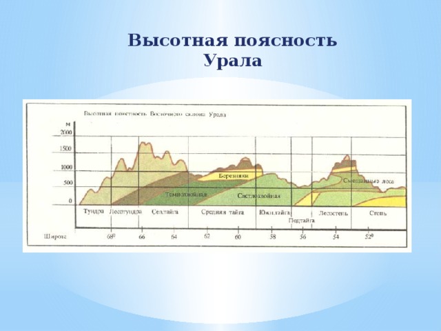 Высотная поясность Урала 