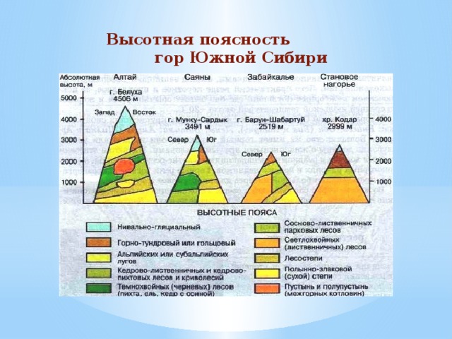 Высотная поясность  гор Южной Сибири 