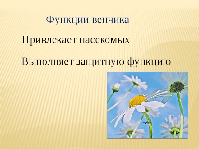 Талисман символическое изображение выполняющее защитную охранительную функцию