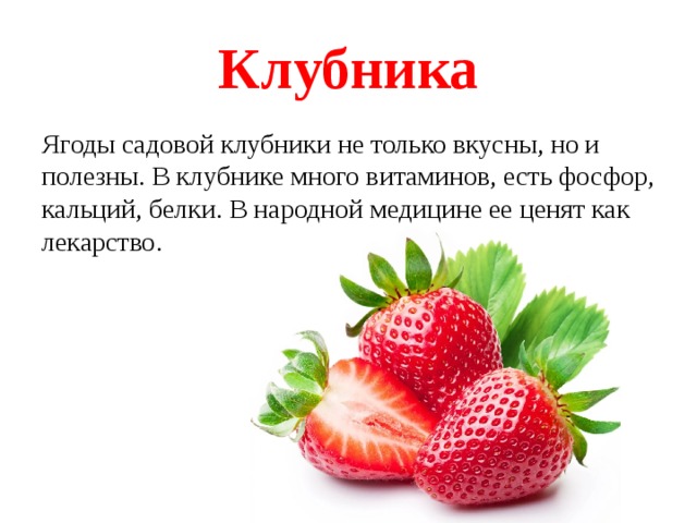 Клубника Ягоды садовой клубники не только вкусны, но и полезны. В клубнике много витаминов, есть фосфор, кальций, белки. В народной медицине ее ценят как лекарство. 