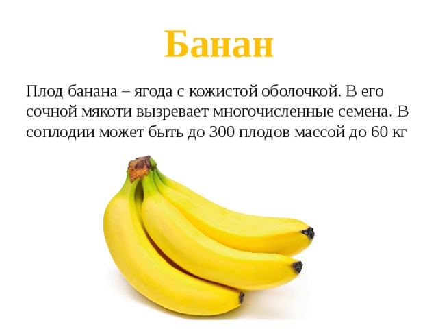 Банан Плод банана – ягода с кожистой оболочкой. В его сочной мякоти вызревает многочисленные семена. В соплодии может быть до 300 плодов массой до 60 кг 