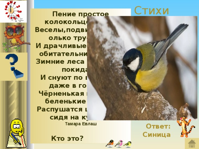 Стихи Пение простое колокольцев звон. Веселы,подвижны,несколько трусливы. И драчливые довольно обитательницы крон. Зимние леса они скоро покидают И снуют по веточкам даже в городах. Чёрненькая шапочка, беленькие щёчки, Распушатся шариками сидя на кустах. Тамара Евлаш   Кто это?    Ответ: Синица 