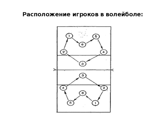 Менять расстановку игроков в волейболе