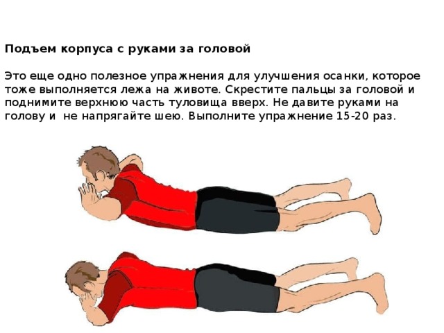Подъем корпуса с руками за головой   Это еще одно полезное упражнения для улучшения осанки, которое тоже выполняется лежа на животе. Скрестите пальцы за головой и поднимите верхнюю часть туловища вверх. Не давите руками на голову и  не напрягайте шею. Выполните упражнение 15-20 раз.     