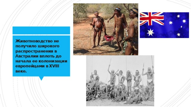 Животноводство не получило широкого распространения в Австралии вплоть до начала ее колонизации европейцами в XVIII веке. 