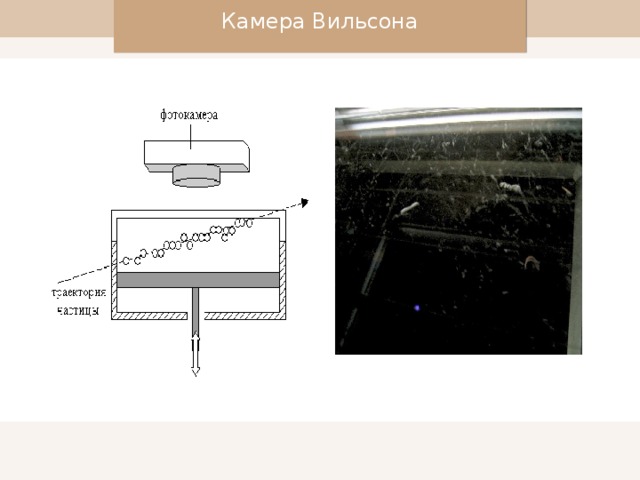 Камера Вильсона
