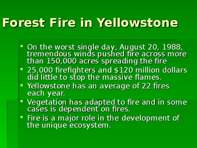 Forest Fire in Yellowstone On the worst single day, August 20, 1988, tremendous winds pushed fire across more than 150,000 acres spreading the fire 25,000 firefighters and $120 million dollars did little to stop the massive flames. Yellowstone has an average of 22 fires each year. Vegetation has adapted to fire and in some cases is dependent on fires. Fire is a major role in the development of the unique ecosystem.   