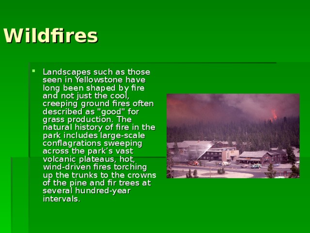 Wildfires Landscapes such as those seen in Yellowstone have long been shaped by fire and not just the cool, creeping ground fires often described as 