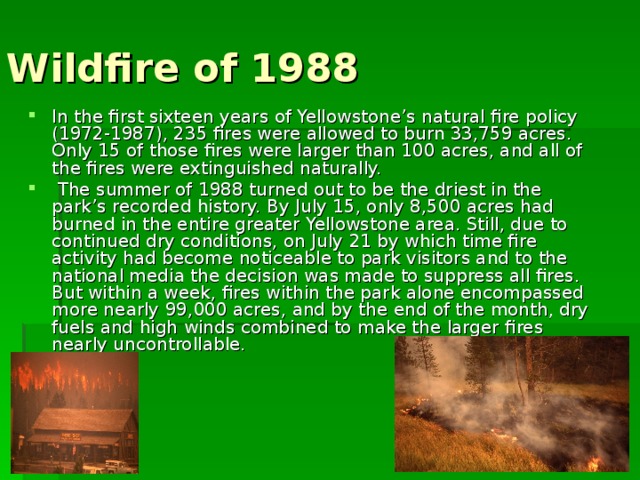 Wildfire of 1988 In the first sixteen years of Yellowstone’s natural fire policy (1972-1987), 235 fires were allowed to burn 33,759 acres. Only 15 of those fires were larger than 100 acres, and all of the fires were extinguished naturally.  The summer of 1988 turned out to be the driest in the park’s recorded history. By July 15, only 8,500 acres had burned in the entire greater Yellowstone area. Still, due to continued dry conditions, on July 21 by which time fire activity had become noticeable to park visitors and to the national media the decision was made to suppress all fires. But within a week, fires within the park alone encompassed more nearly 99,000 acres, and by the end of the month, dry fuels and high winds combined to make the larger fires nearly uncontrollable. 