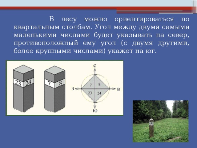 Относительно столба. Ориентирование по квартальным столбам. Ориентирование по квартальным столбам в лесу. Ориентирование на местности по квартальным столбам. Ориентировка по квартальным столбам.