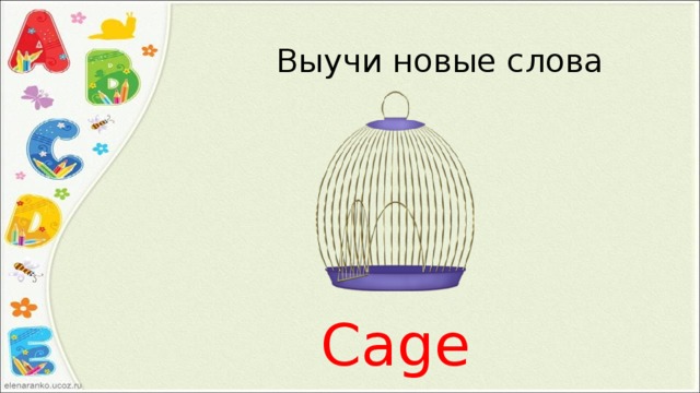 Выучи новые слова Cage 