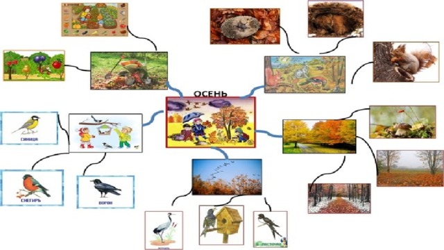 Интеллект карта для дошкольников это