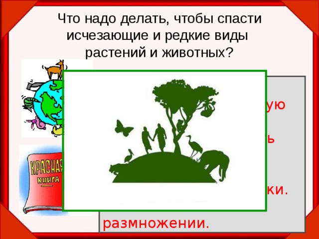 Что надо делать, чтобы спасти исчезающие и редкие виды  растений и животных? Запретить охоту. Запретить чрезмерную  добычу животных. Запретить разрушать  места обитания животных. Охранять заповедники. Заботиться о размножении. 