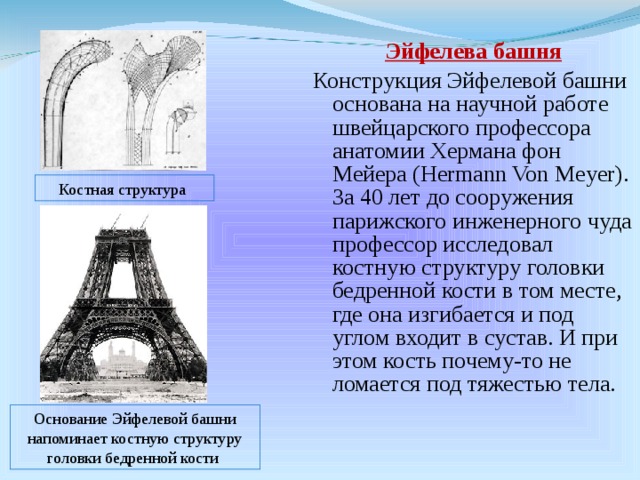 Эйфелева башня Конструкция Эйфелевой башни основана на научной работе швейцарского профессора анатомии Хермана фон Мейера (Hermann Von Meyer). За 40 лет до сооружения парижского инженерного чуда профессор исследовал костную структуру головки бедренной кости в том месте, где она изгибается и под углом входит в сустав. И при этом кость почему-то не ломается под тяжестью тела. Костная структура Основание Эйфелевой башни напоминает костную структуру  головки бедренной кости 